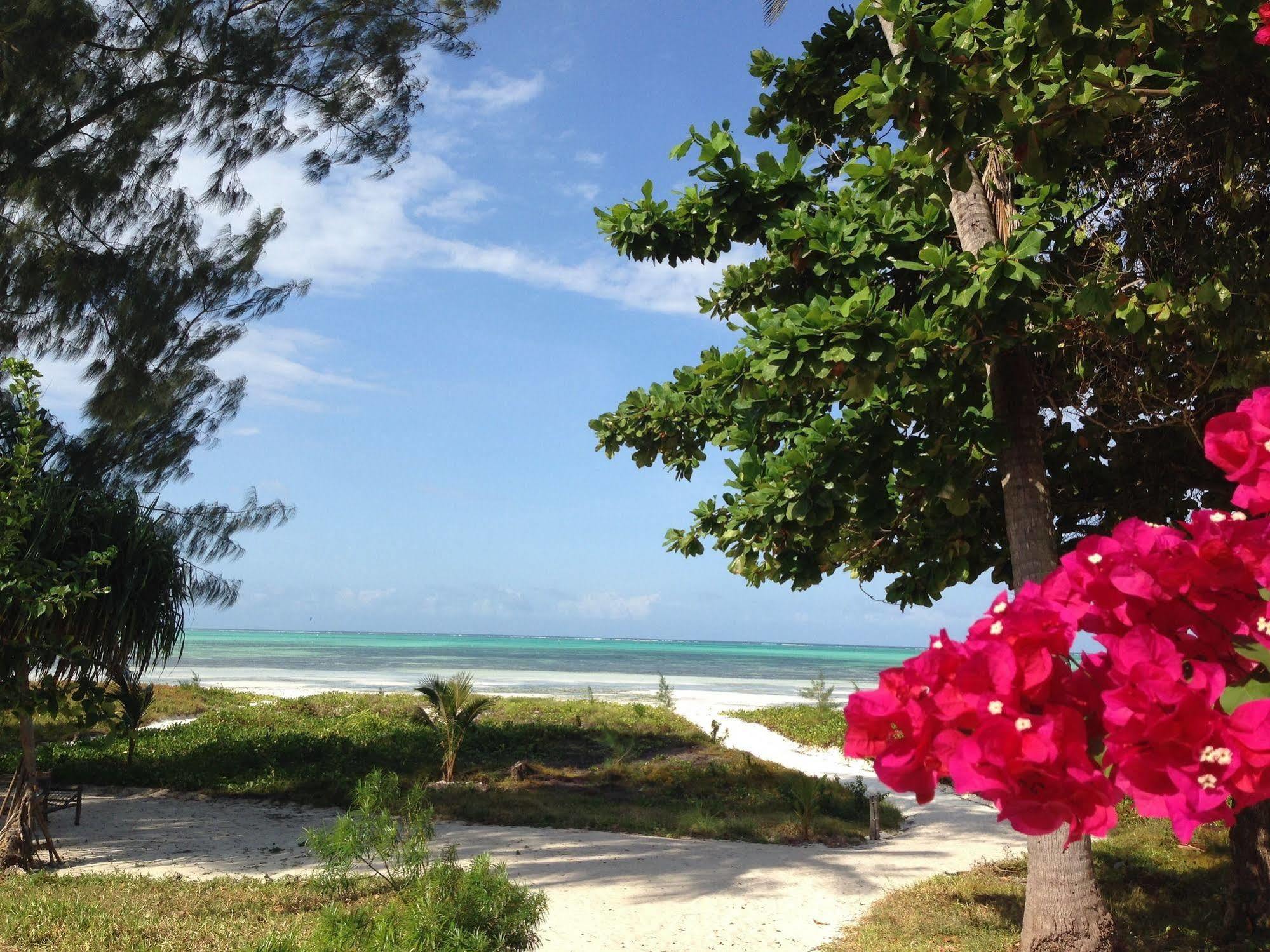 Hotel The Cove Paje Exterior foto
